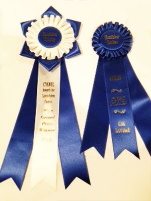 Citadel 7 supports Chanticleer Blue Ribbon writing competitions